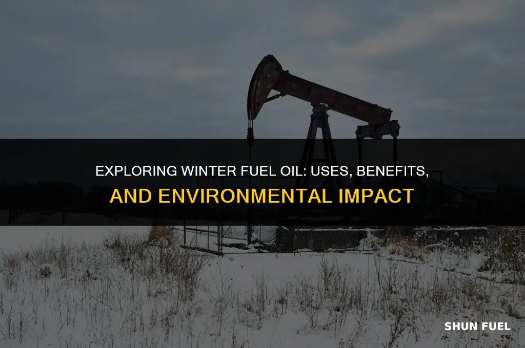 what is winter fuel oil