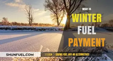 Understanding Winter Fuel Payments: A Comprehensive Guide