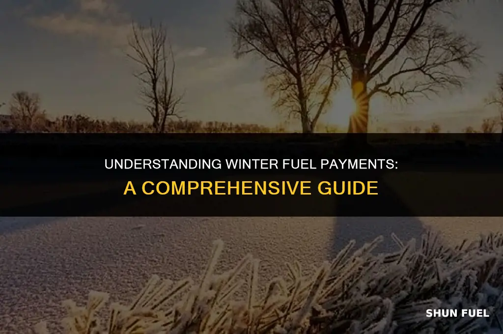 what is winter fuel payment