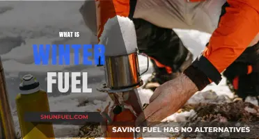 Understanding Winter Fuel: A Comprehensive Guide to Stay Warm