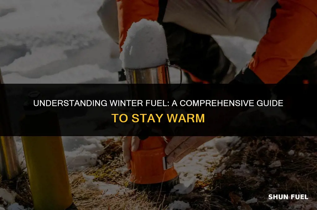 what is winter fuel