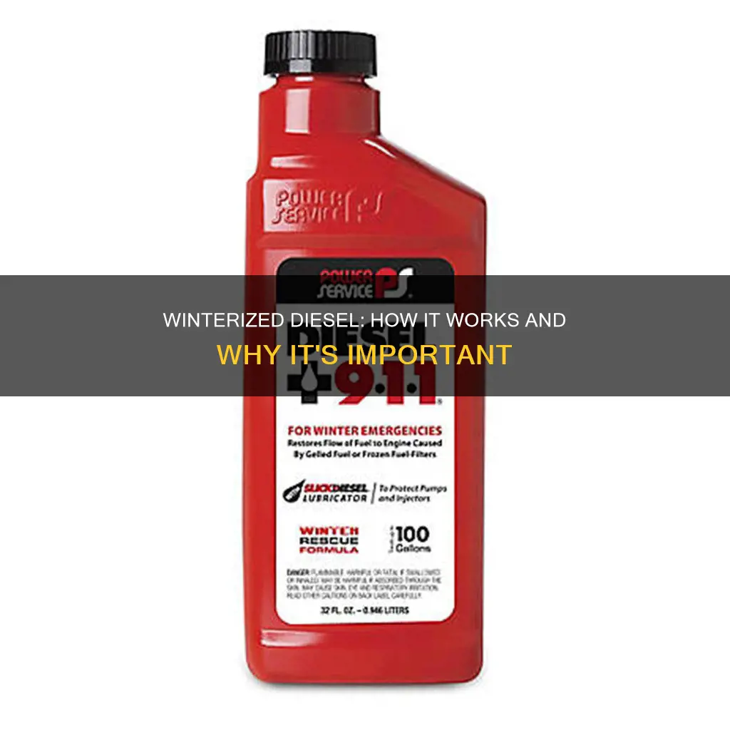what is winterized diesel fuel