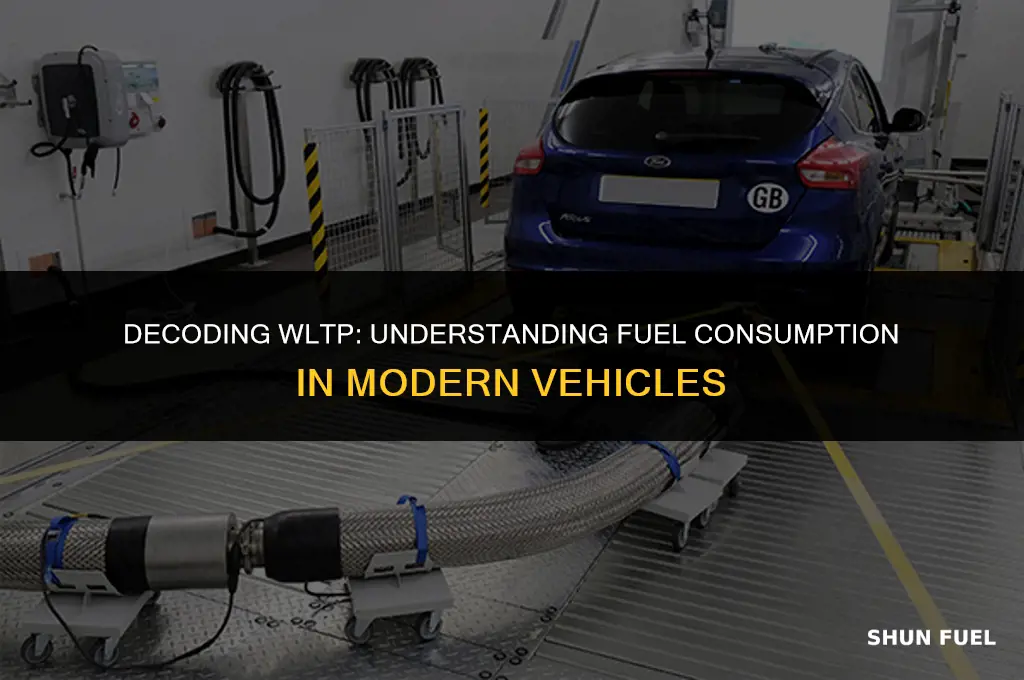 what is wltp fuel consumption