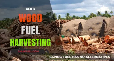 Sustainable Wood Fuel Harvesting: A Comprehensive Guide