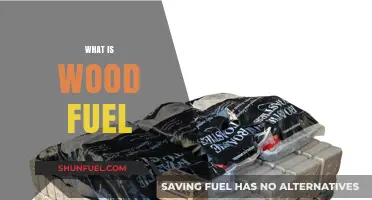 Exploring the Basics: What is Wood Fuel and Its Uses?