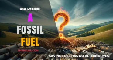 Wood vs. Fossil Fuels: Understanding the Renewable Energy Difference