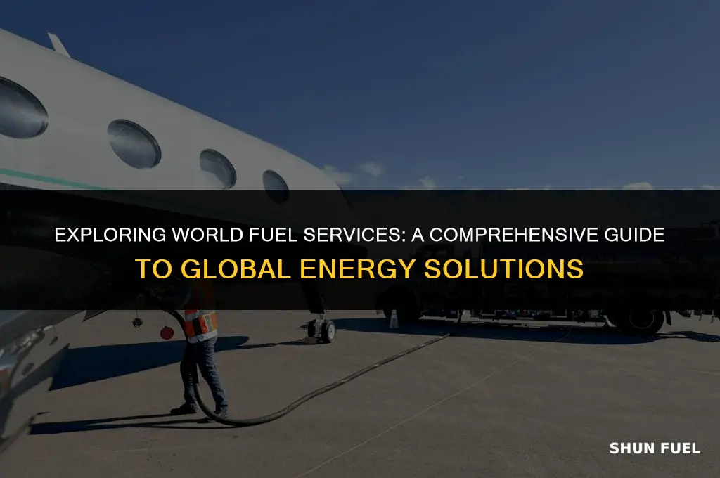what is world fuel services