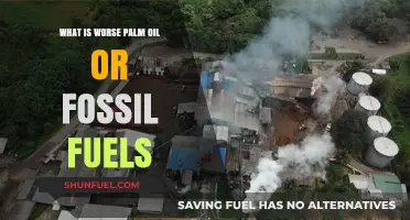 Palm Oil vs. Fossil Fuels: Which Environmental Threat is Worse?