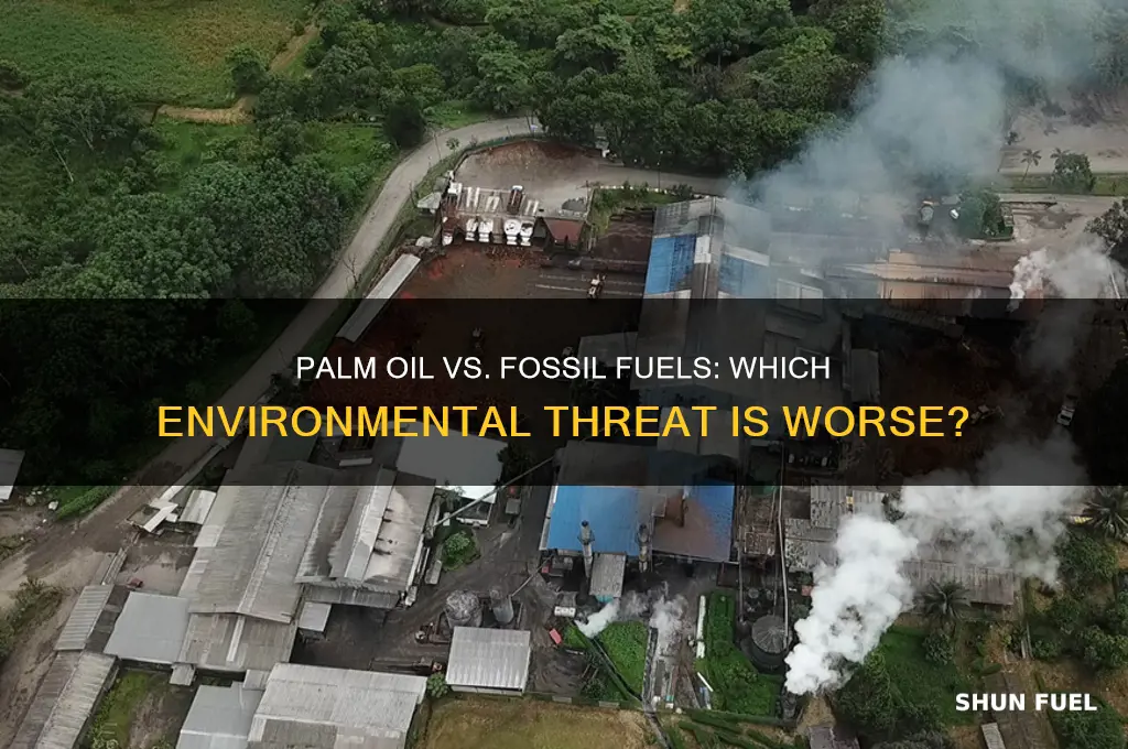 what is worse palm oil or fossil fuels