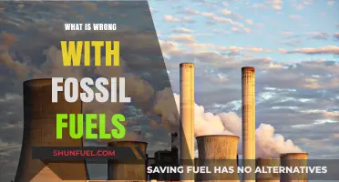 Fossil Fuels' Dark Side: Environmental, Economic, and Health Consequences Explained