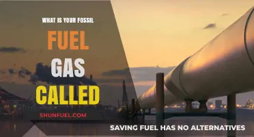 Understanding Your Fossil Fuel Gas: Names, Types, and Environmental Impact