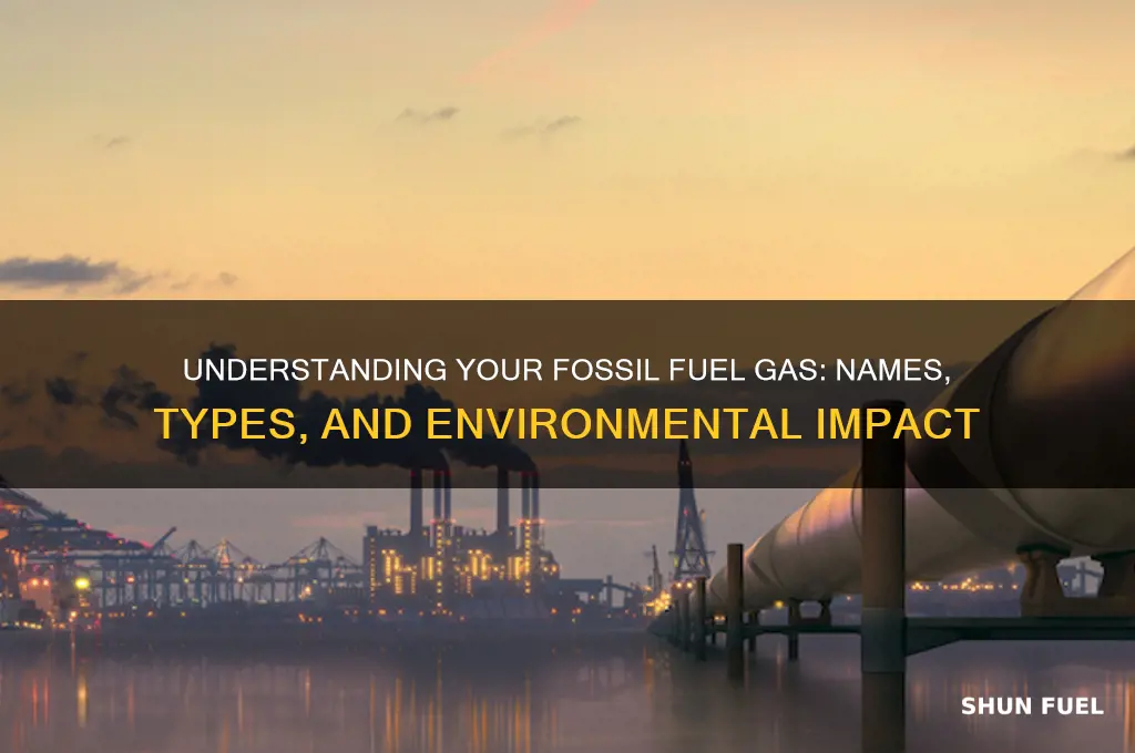 what is your fossil fuel gas called