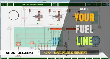 Unleash Your Potential: Understanding Your Unique Fuel Line