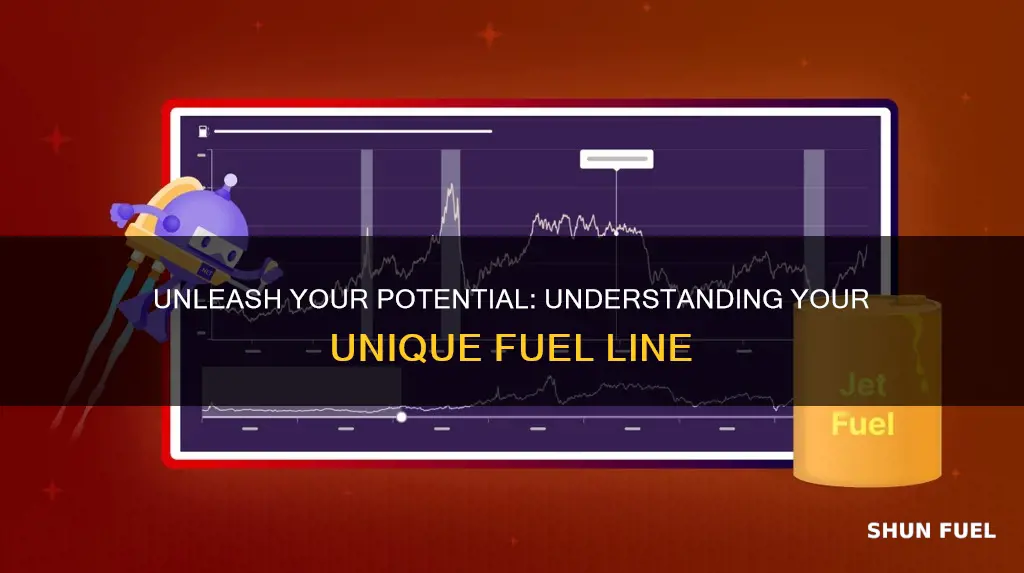 what is your fuel line