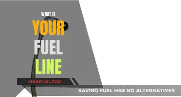 Fuel Line Factors: What Drives Your Engine?