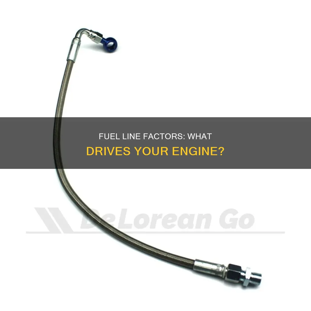 what is your fuel line