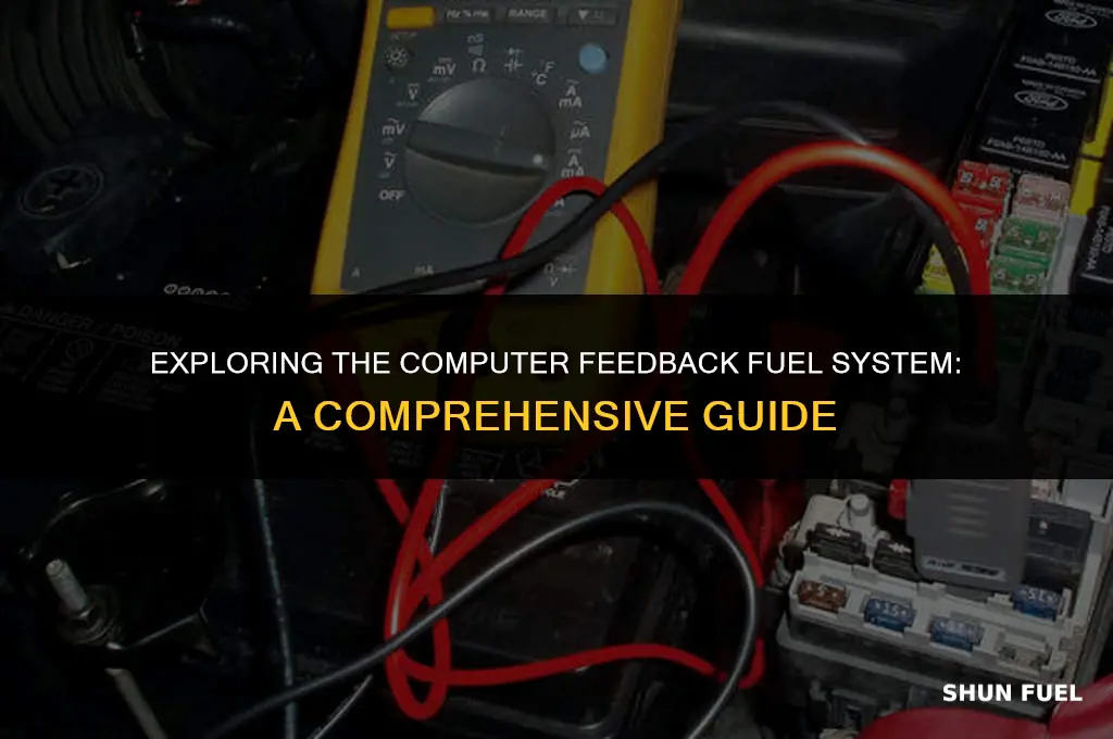 what iscomputer feedback fuel system