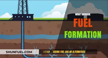 Unraveling the Ancient Process: How Fossil Fuels Come to Be