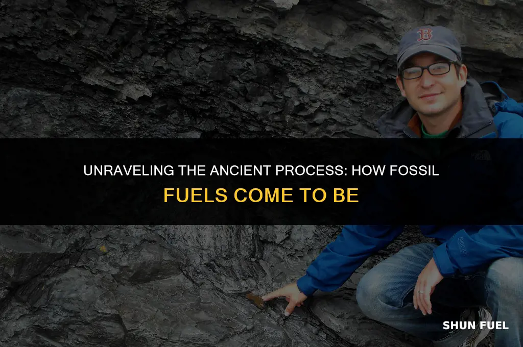 what isfossil fuel formation