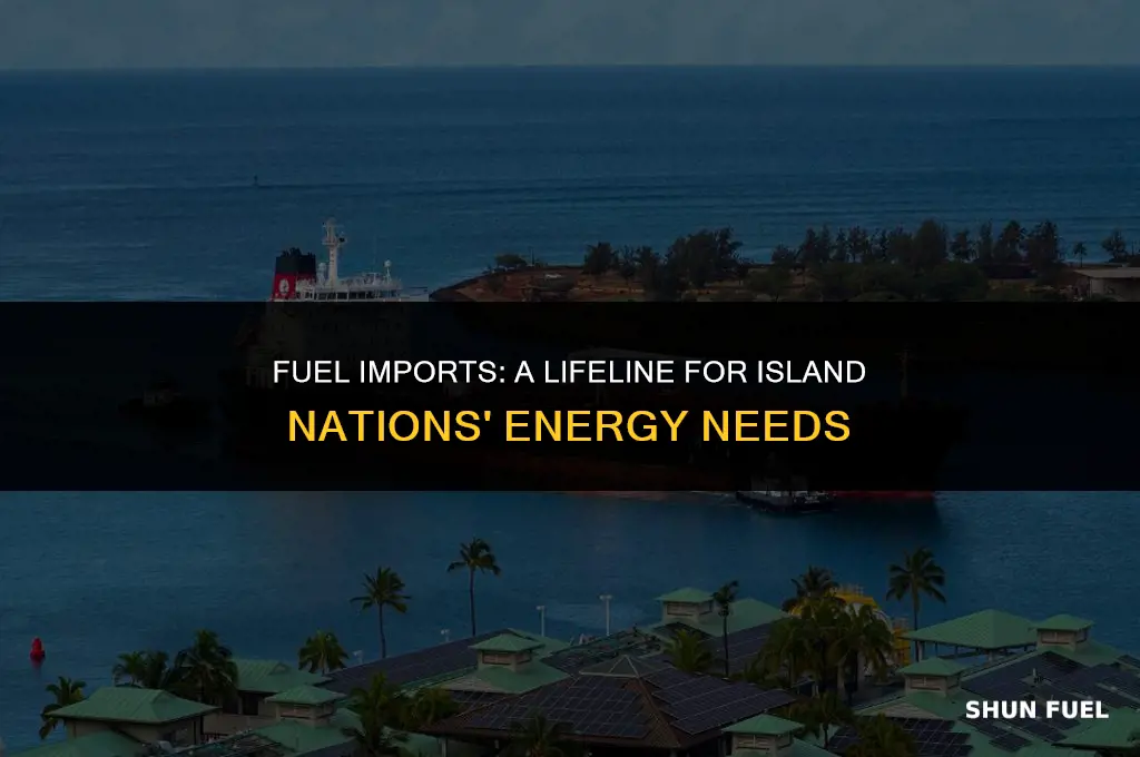what island countries import fuel
