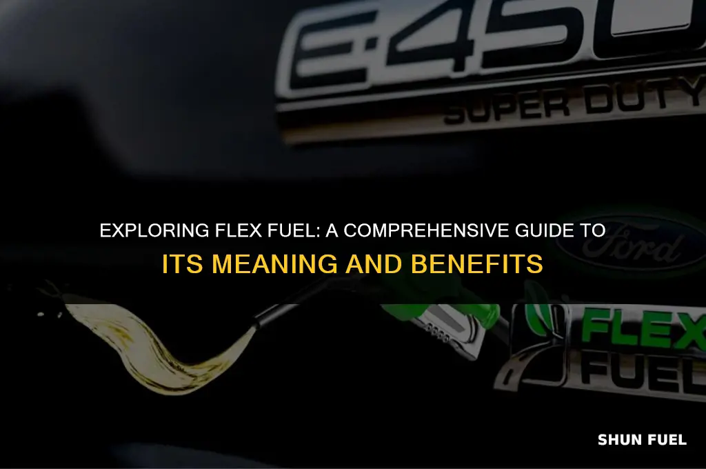 what ismeant by flex fuel