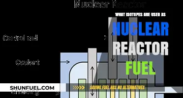 Key Isotopes Powering Nuclear Reactors: Fuel Sources Explained