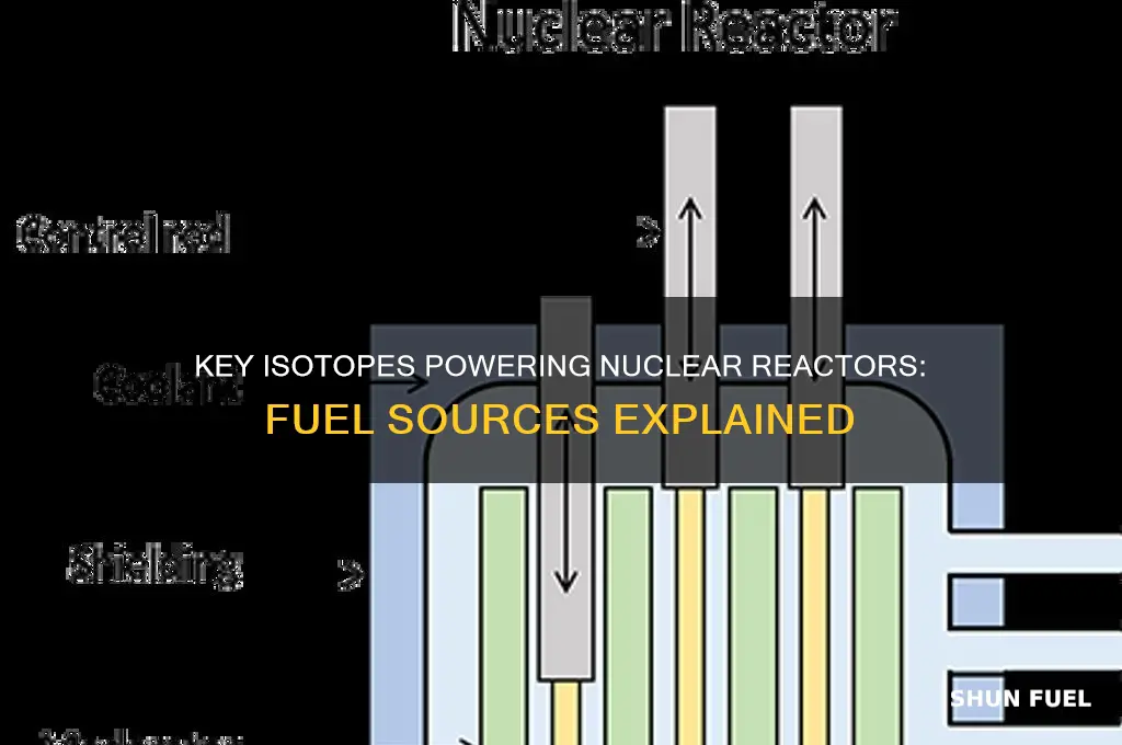 what isotopes are used as nuclear reactor fuel