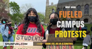Campus Uproar: Unraveling the Core Issues Behind Student Protests
