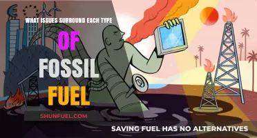 Fossil Fuel Challenges: Environmental, Economic, and Social Issues Explored