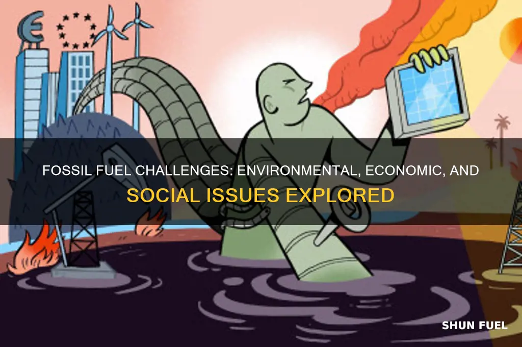 what issues surround each type of fossil fuel
