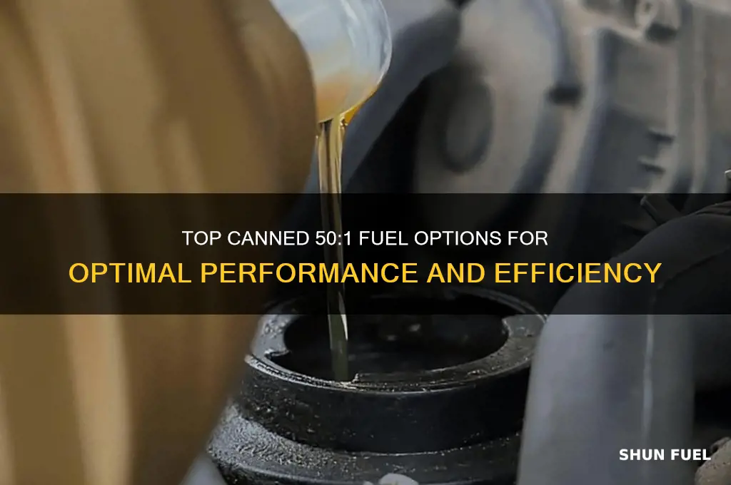 what isthe best canned 50 1 fuel