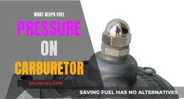 Fuel Pressure Maintenance: Carburetor Secrets Revealed