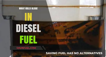 Eradicating Algae Growth in Diesel: Effective Solutions