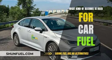 Alcohol-Based Car Fuel: What's the Science?