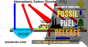 Fossil Fuels and Carbon Emissions: Understanding the Released Carbon Types