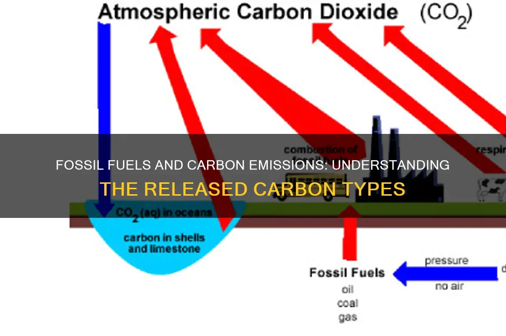 what kind of carbon does fossil fuel release