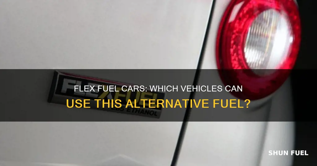 what kind of cars can use flex fuel