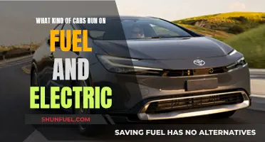 Cars Running on Fuel and Electric: A Hybrid Future?