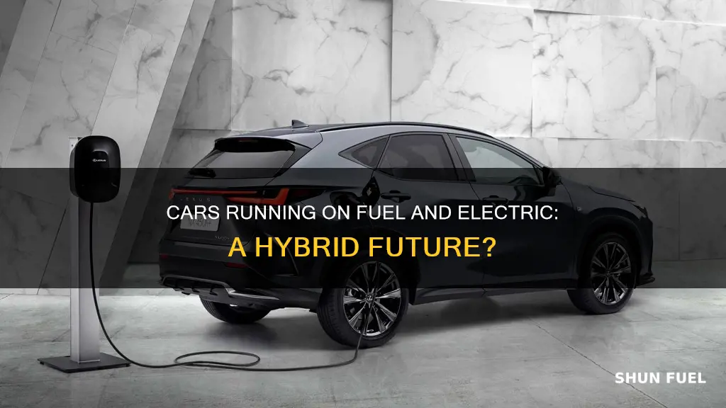 what kind of cars run on fuel and electric