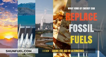 Sustainable Alternatives: Exploring Renewable Energy Sources to Replace Fossil Fuels