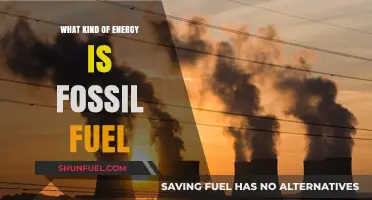Understanding Fossil Fuels: Non-Renewable Energy Sources Powering Our World