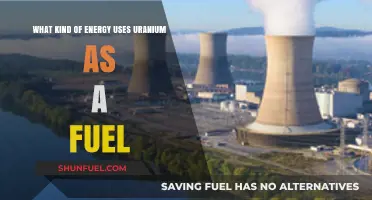 Uranium-Fueled Power: Exploring Nuclear Energy's Role in Modern Generation