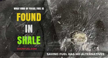 Unlocking Shale's Secrets: Discovering the Fossil Fuel Within