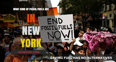 Exploring New York's Hidden Fossil Fuel Reserves: Types and Locations