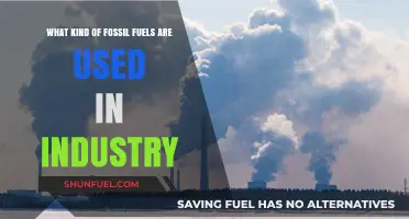 Exploring Industrial Fossil Fuels: Types and Their Key Applications