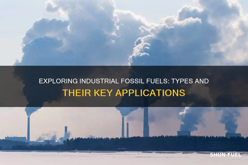 what kind of fossil fuels are used in industry