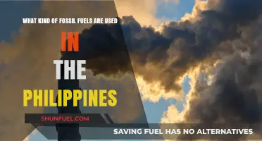 Fossil Fuels in the Philippines: Types and Usage Explained