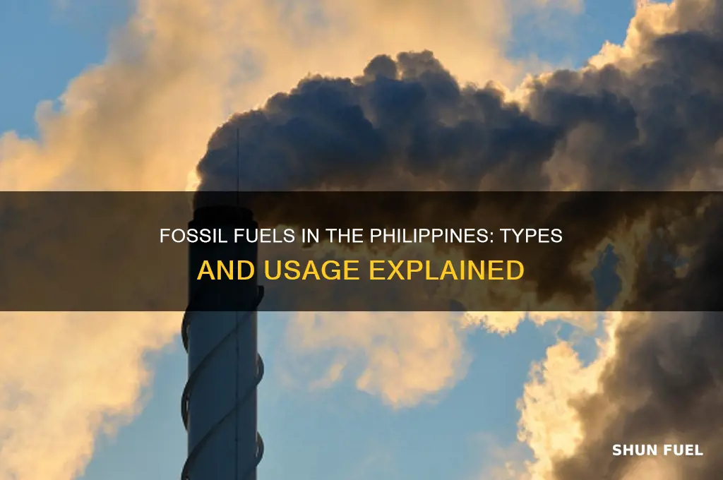 what kind of fossil fuels are used in the philippines