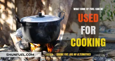Exploring Diverse Cooking Fuels: Options for Efficient and Sustainable Kitchens