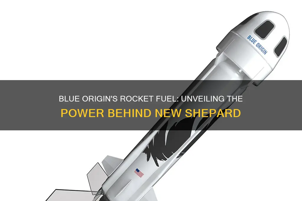 what kind of fuel did blue origin use